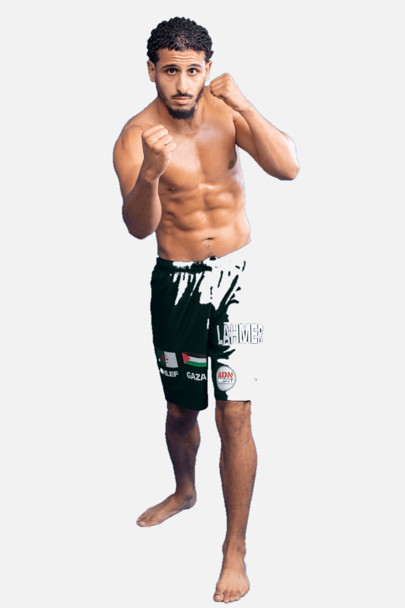 Lahmer Walid